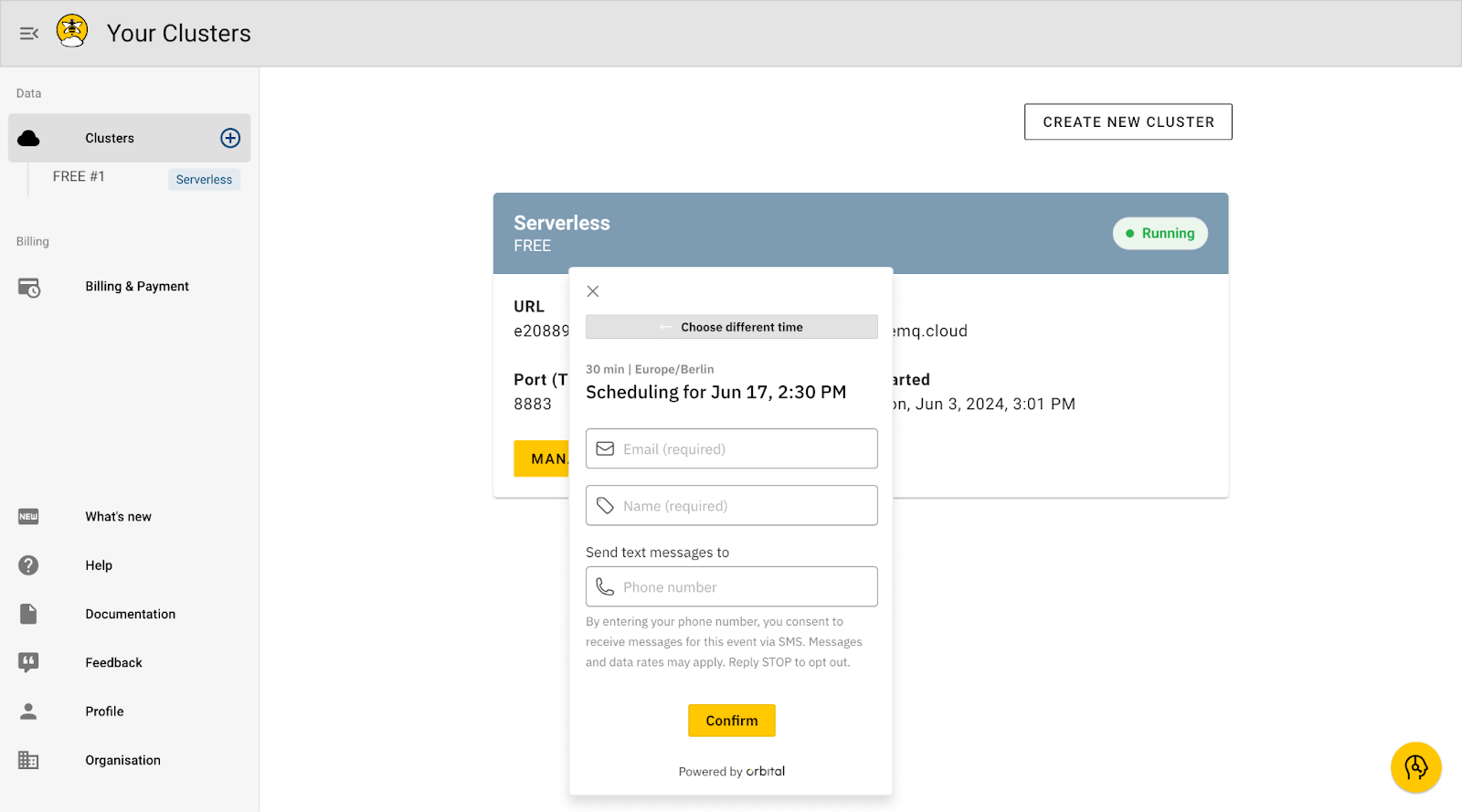 A screenshot from Orbital showing boxes where the user inputs their email address, name, and phone number. These fields are followed by a button with the text "Confirm" on it.