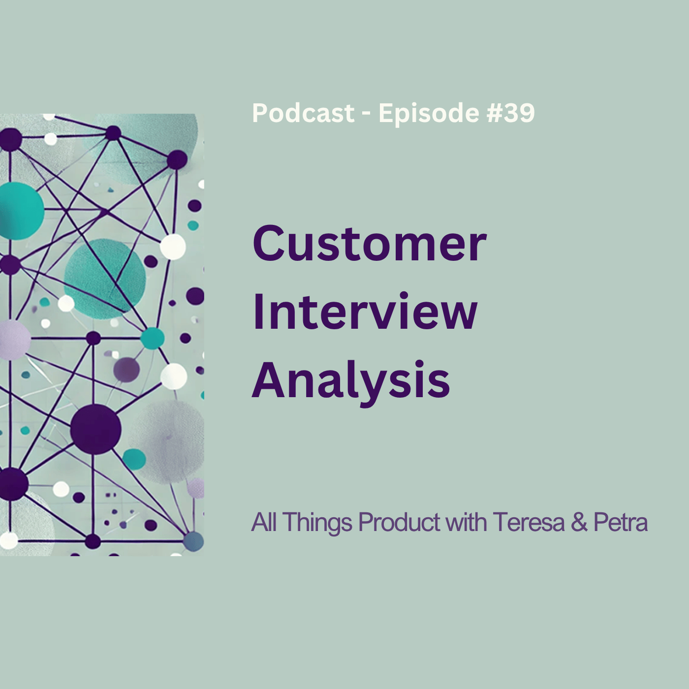 Customer Interview Analysis - All Things Product Podcast with Teresa Torres & Petra Wille