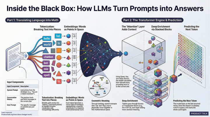 A detailed infographic that illustrates the content of the article.