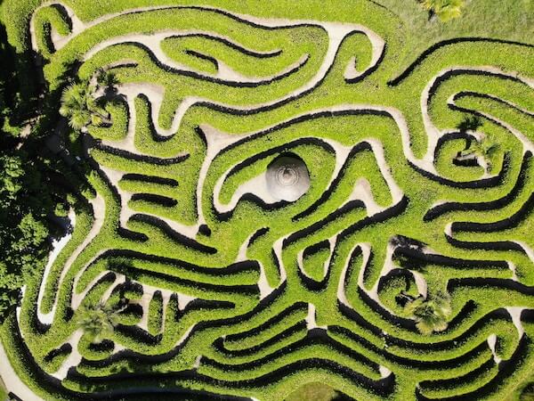 A bird's-eye view of a maze