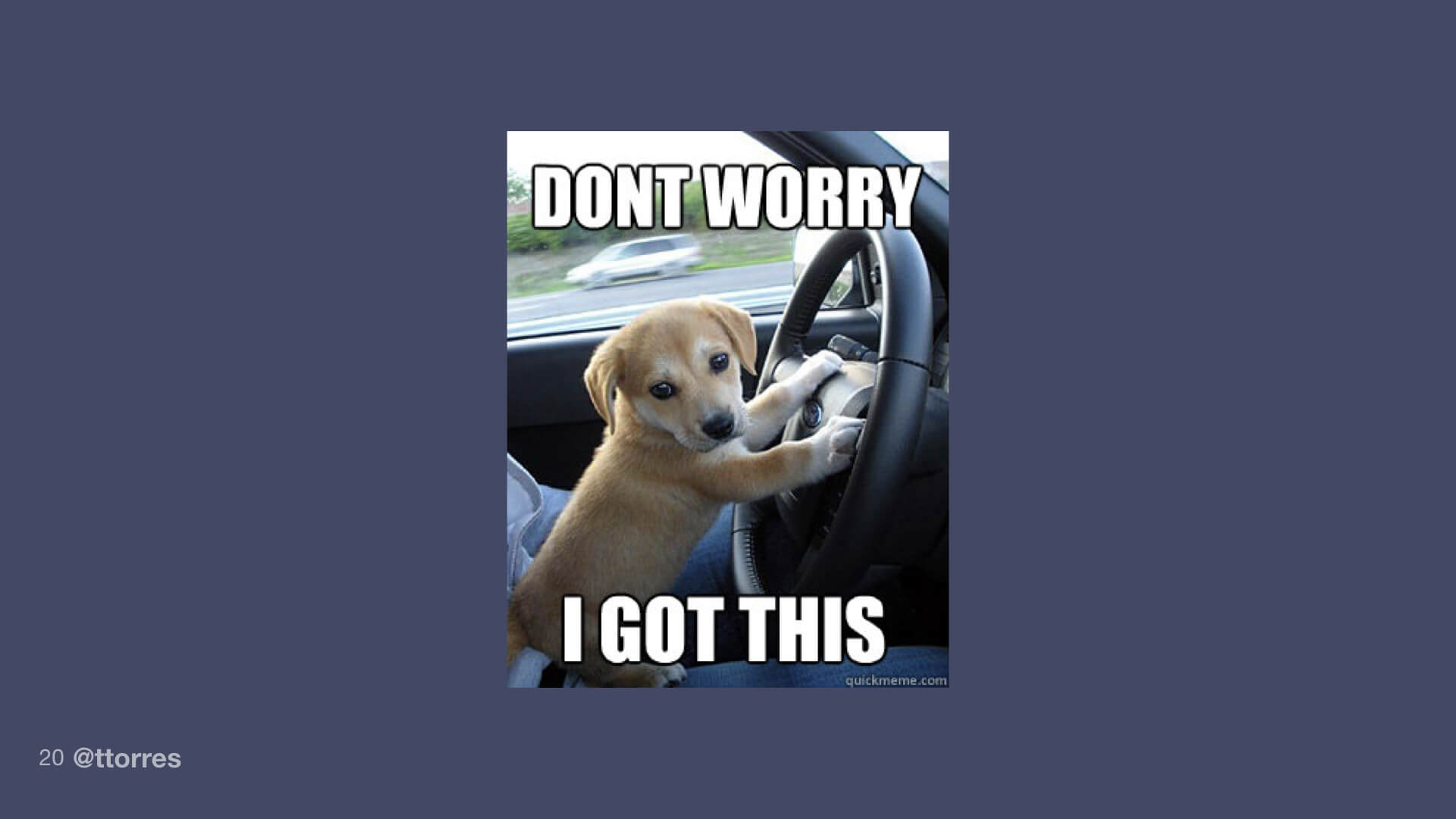 An image of a small puppy with its paws on the steering wheel of a car. The text on the image reads, "Don't worry I got this."