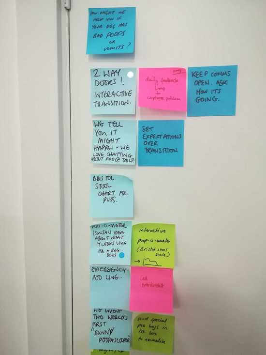 A collection of different colored sticky notes with ideas on them. Many of the ideas are related to the dog's poop and ways to help customers deal with it.