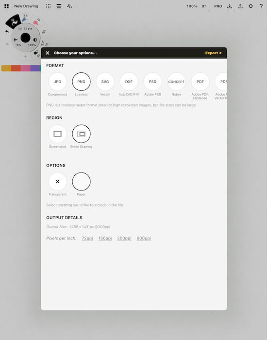 A screenshot of the Concepts app displaying options for exporting the image.